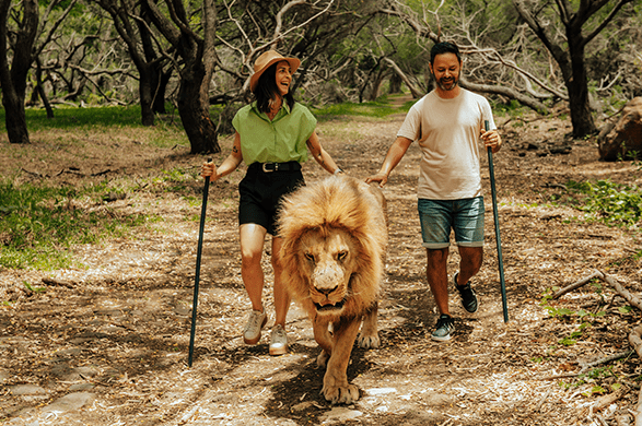 Casela Nature Parks